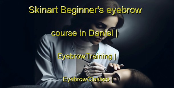 Skinart Beginner's eyebrow course in Daniel | EyebrowTraining | EyebrowClasses | SkinartTraining-United States